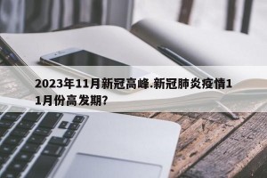 2023年11月新冠高峰.新冠肺炎疫情11月份高发期？