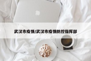 武汉市疫情/武汉市疫情防控指挥部